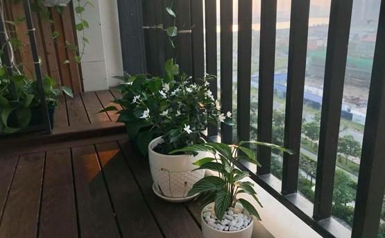 apartment for rent in district 2 D221122 (8)